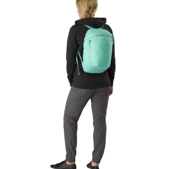 Arc’teryx Index 15L - Picture 3 of 7